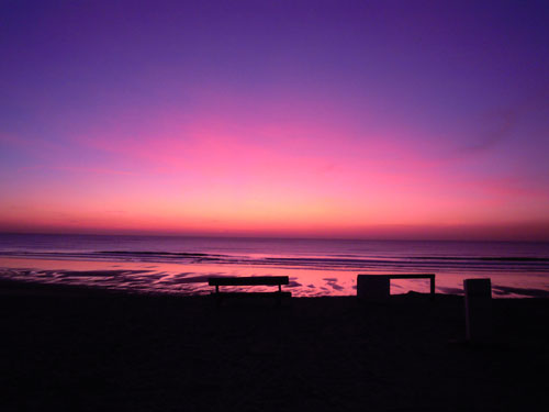 DSCN2679.jpg