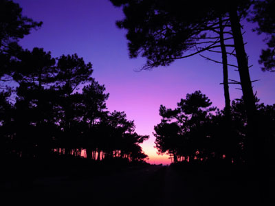 DSCN2682.jpg