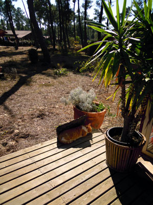 DSCN2771.jpg