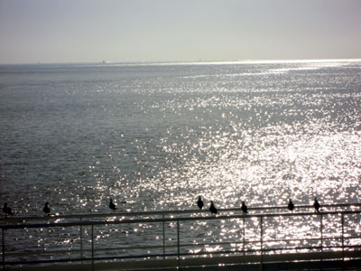 DSCN2800.jpg