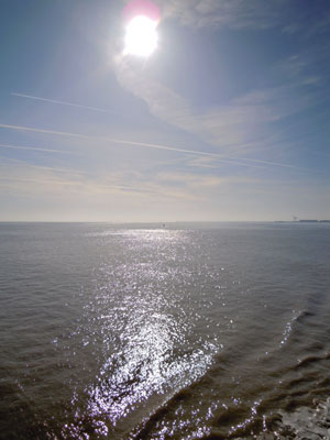 DSCN2807.jpg