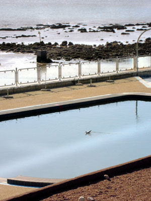 DSCN2816.jpg