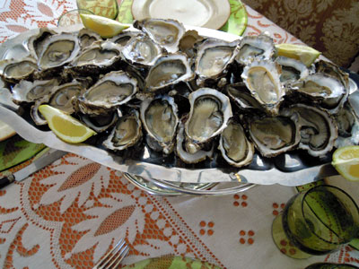 DSCN2855.jpg