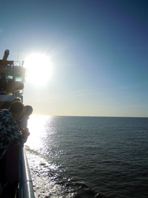 DSCN2915.jpg