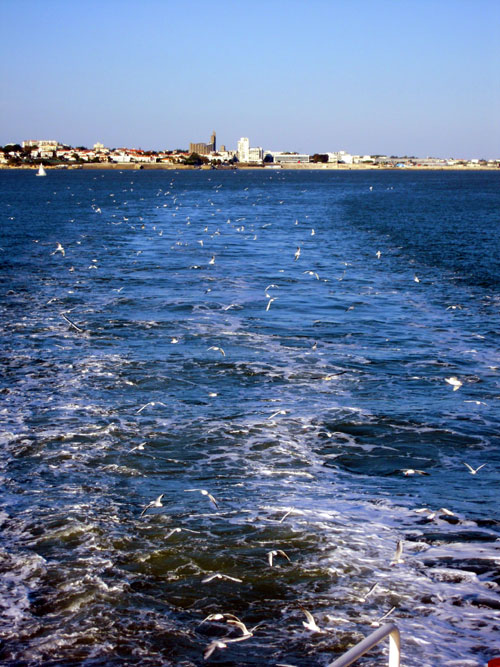 DSCN2933.jpg