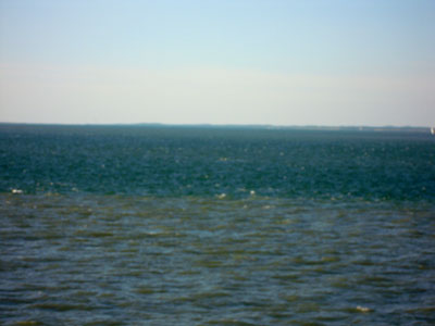 DSCN2948.jpg