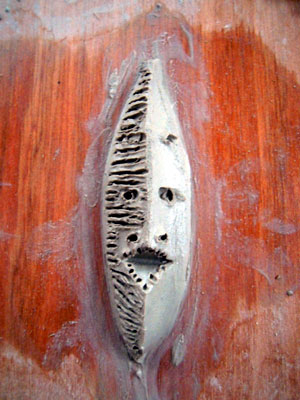DSCN2968.jpg