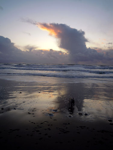 DSCN3006.jpg