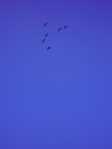 DSCN3010.jpg