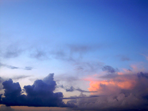 DSCN3013.jpg