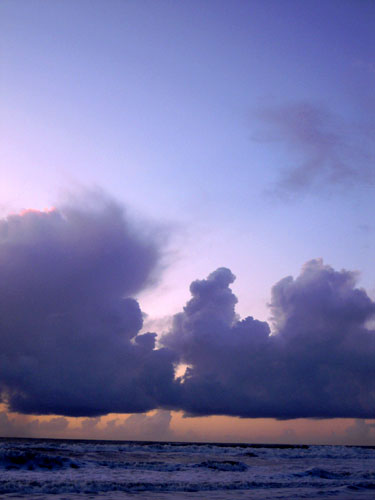 DSCN3029.jpg