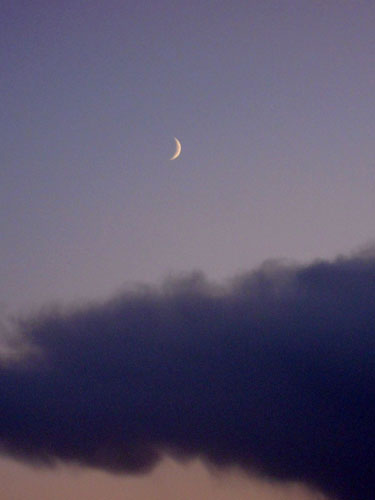 DSCN3030.jpg