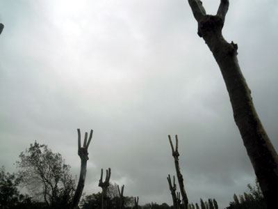 DSCN3052.jpg
