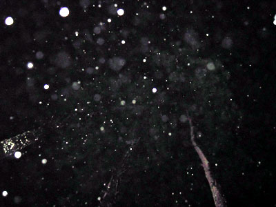 DSCN3229.jpg