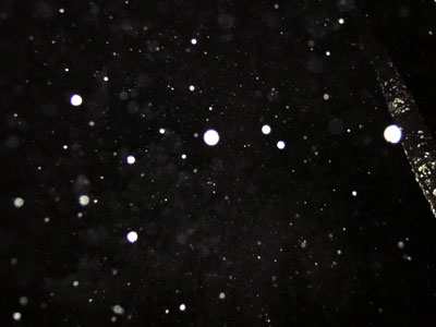 DSCN3230.jpg