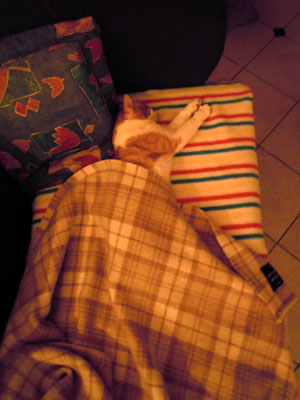 DSCN3232.jpg
