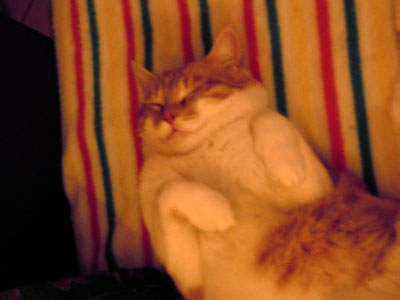 DSCN3234.jpg