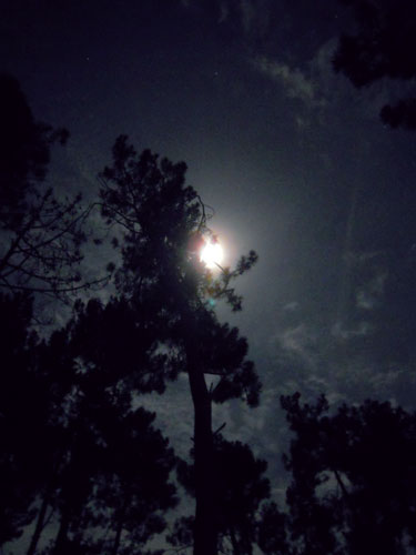 DSCN3391.jpg