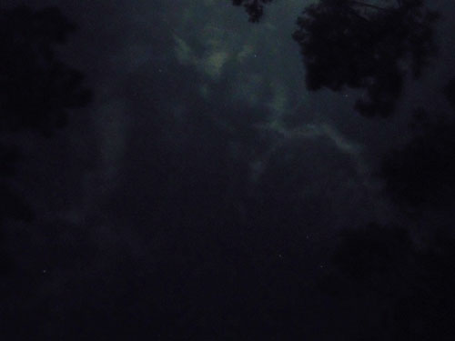 DSCN3397.jpg