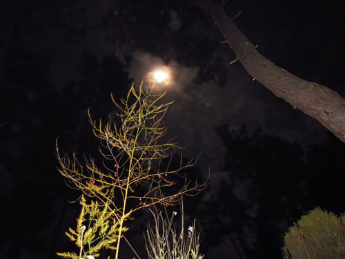 DSCN3415.jpg
