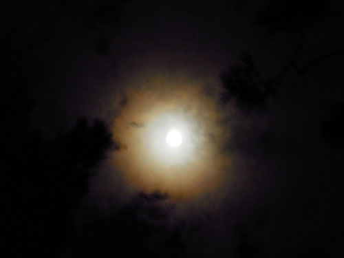 DSCN3423.jpg
