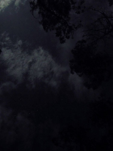 DSCN3435.jpg
