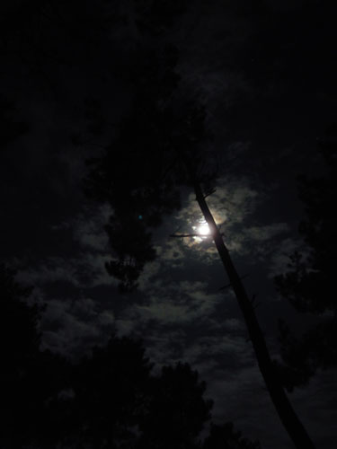 DSCN3439.jpg