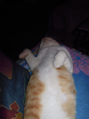DSCN3468.jpg