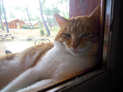 DSCN3653.jpg