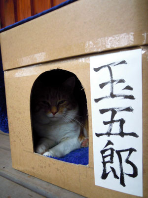 DSCN3693.jpg