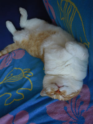 DSCN3704.jpg