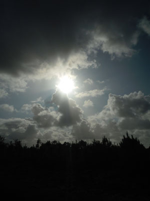 DSCN3739.jpg