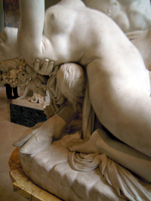 DSCN3788.jpg