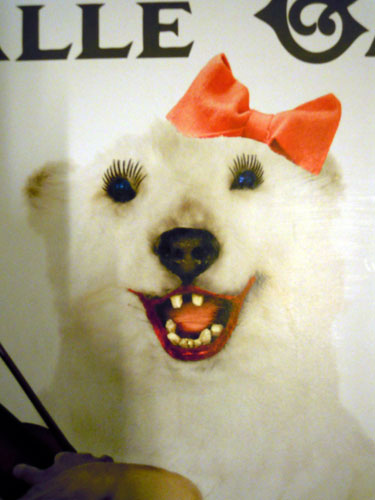 DSCN4091.jpg