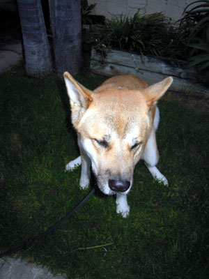 DSCN4200.jpg