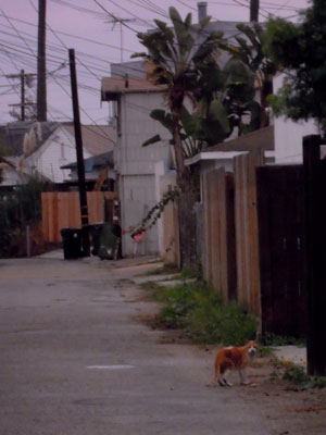 DSCN4210.jpg