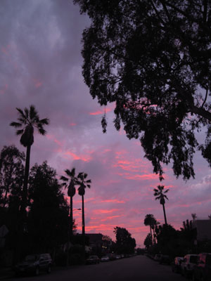 DSCN4214.jpg
