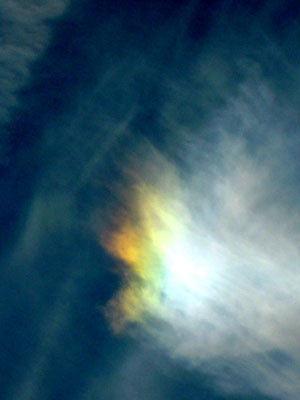DSCN4645.jpg