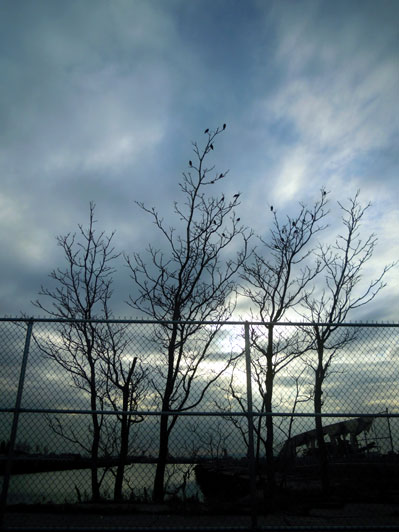 DSCN4969.jpg