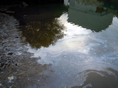 DSCN4988.jpg