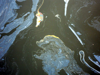 DSCN4989.jpg