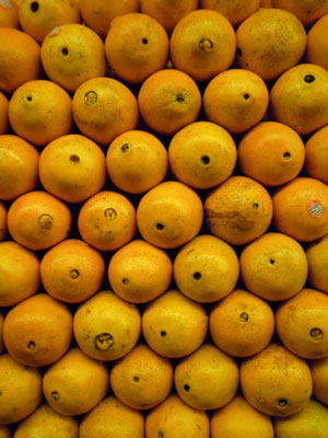 DSCN5016.jpg