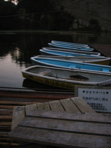 IMG_0433.jpg