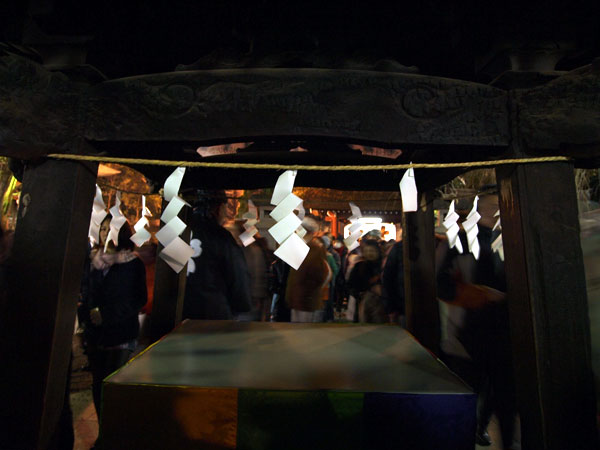 P1010668.jpg