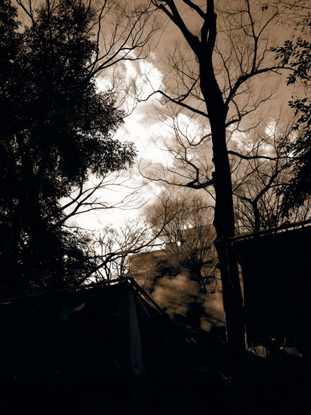 P1020731.jpg