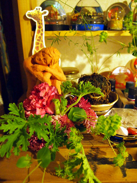 P1030835.jpg