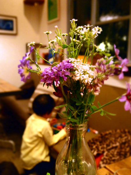 P2271464.jpg