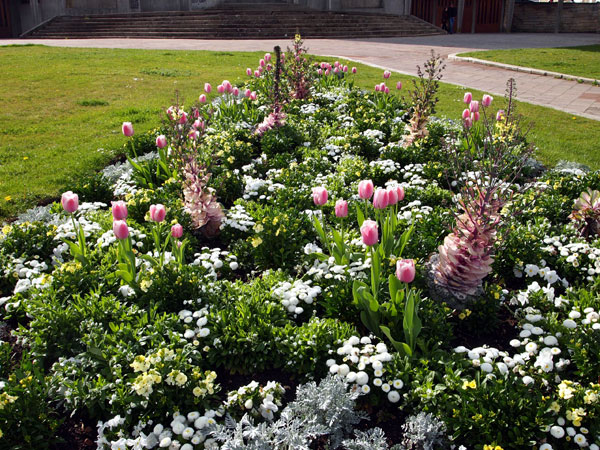 P3272043.jpg