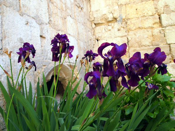 P4092421.jpg