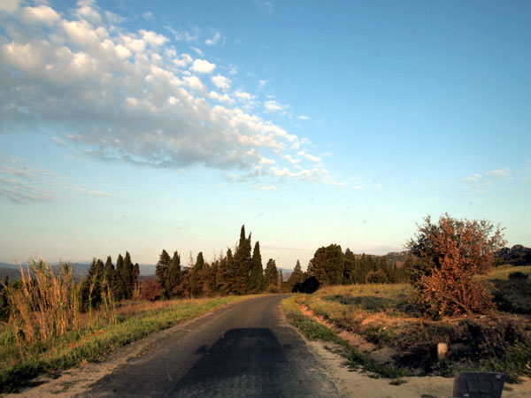 P4172678.jpg